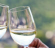 Bei einer Weinreise an die Mosel kommt Jedermann auf seine Kosten.