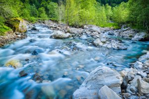 Die reine Natur der Auvergne mit ihren ausgedehnten Wäldern und Gewässern lässt die Seele Entspannung finden (#1)