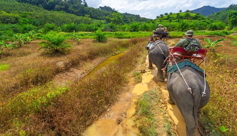 In den Nationalparks gibt es viel zu entdecken. Wasserfälle, natürliche Pools, Höhlen und abgelegene Buchten sind nur ein paar der Highlights. Auf Aussichtspunkten hat man einen Weitblick über Khao Lak und seine einzigartige Natur. Für den Urlaub in Khao Lak buchen smarte Urlauber auch ein paar Landausflüge gleich mit.(#03)