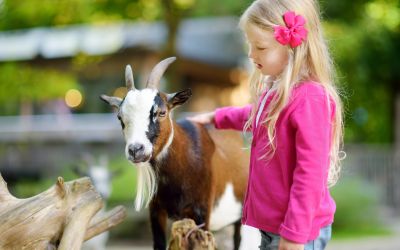 Wenn du Tiere sehen möchtest, solltest du einen Tierpark in Worms, Rheinböllen oder Kaiserslautern besuchen, anstatt ein Tierkostüm zu nutzen. (Foto: AdobeStock - MNStudio 194182270)