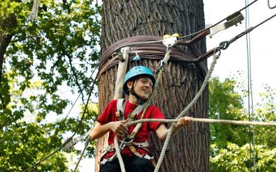 Kletterwald Neroberg: Erleben Sie die Freiheit des Hochseilgartens (Foto: AdobeStock -  Sergey 292180811)