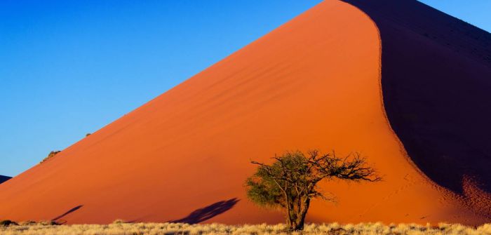 mTouristische Besucherzahlen in Afrika nehmen erneut zu (Foto: AdobeStock - Iuliia Sokolovska 64997307)