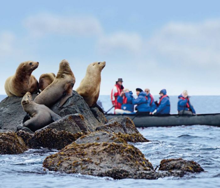 Jeden Tag werden die Zodiacs eingesetzt, um die Tierwelt in der Antarktis zu erforschen. (Foto: Hapag-Lloyd Cruises)