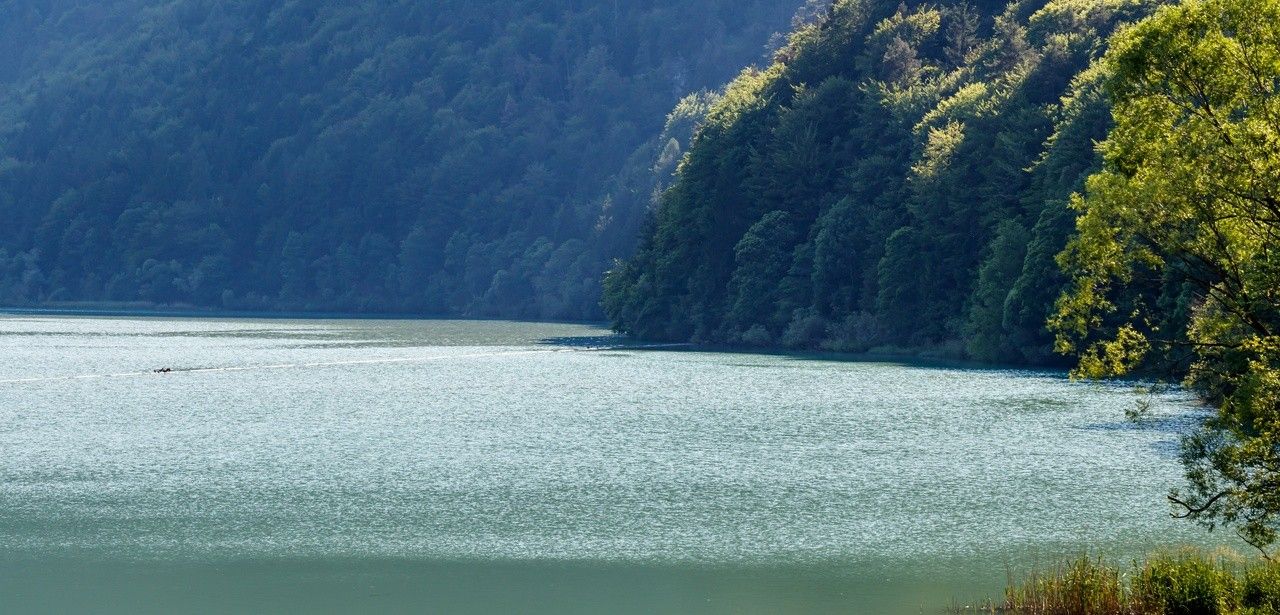 Naturhotel Schütterbad: Aktive Erholung inmitten winterlicher (Foto: AdobeStock - Siebenlicht 445327279)