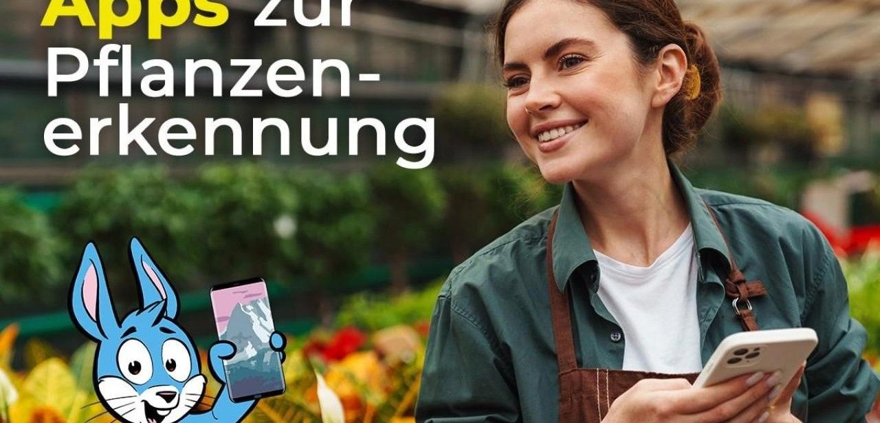 Pflanzenwelt entdecken: Die besten Pflanzenerkennungs-Apps im (Foto: Handyhase GmbH)