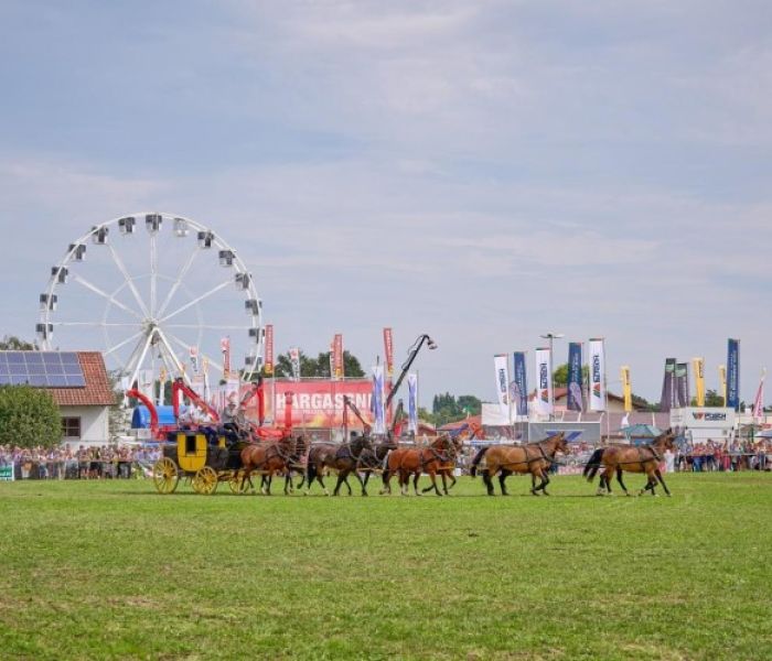 Der Zehnerzug mit Rottal-Pferden (Foto: Johann Dirschl. Gäste- & Kur-Service Bad Griesbach)